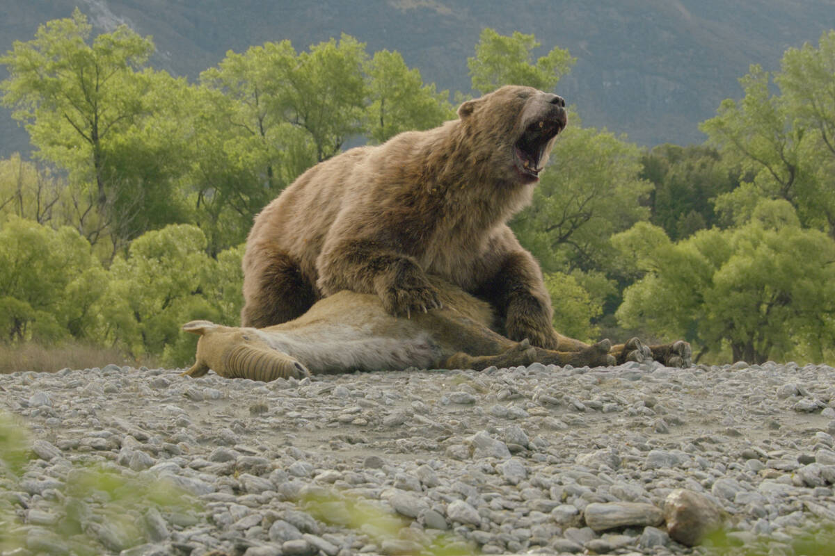 This computer generated image released by Apple TV shows the Arctotherium angustidens, the bigg ...