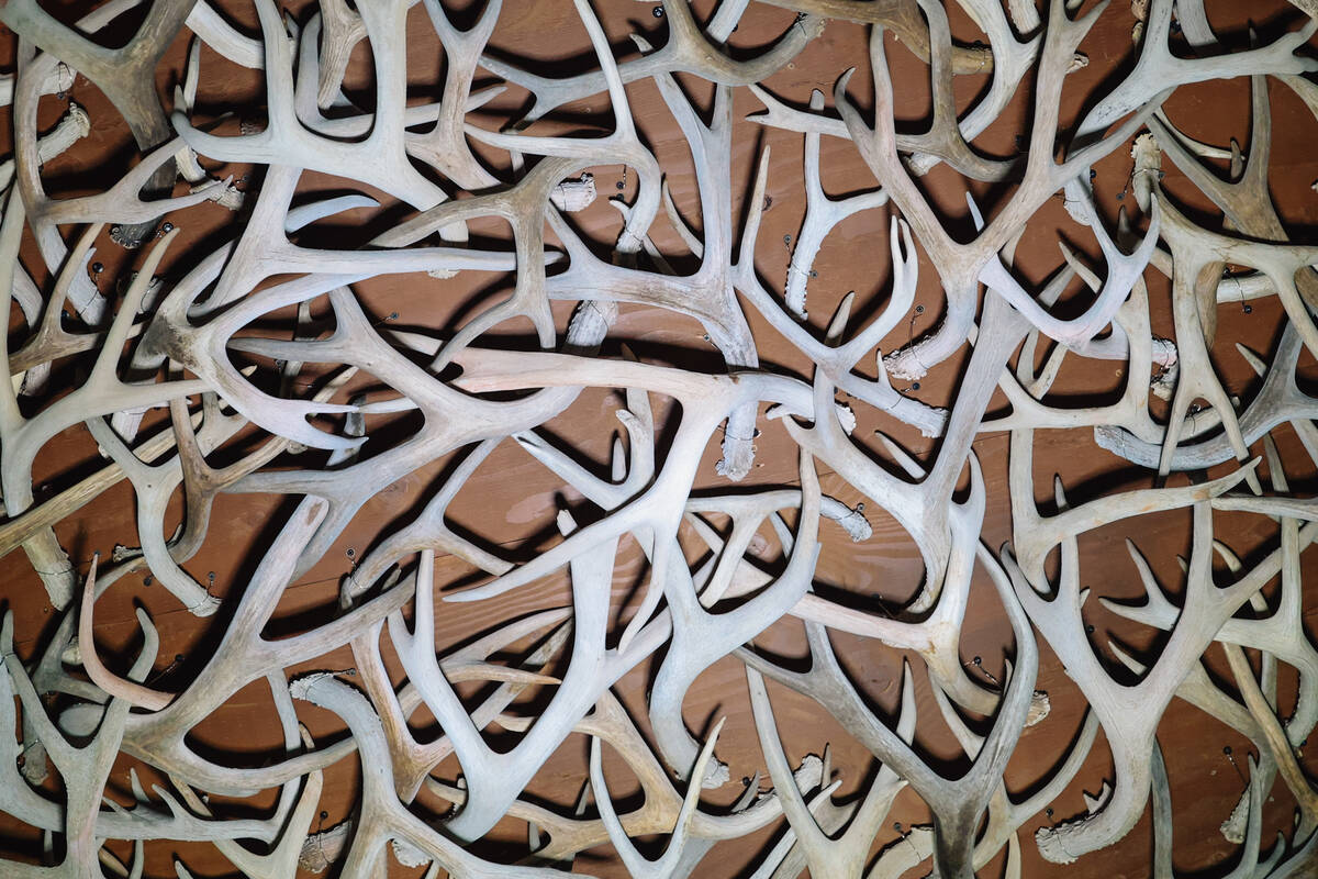 Viking Mike’s Alpine Yurt Bar Saturday, Jan. 3, 2026, in Las Vegas. (Madeline Carter/Las ...