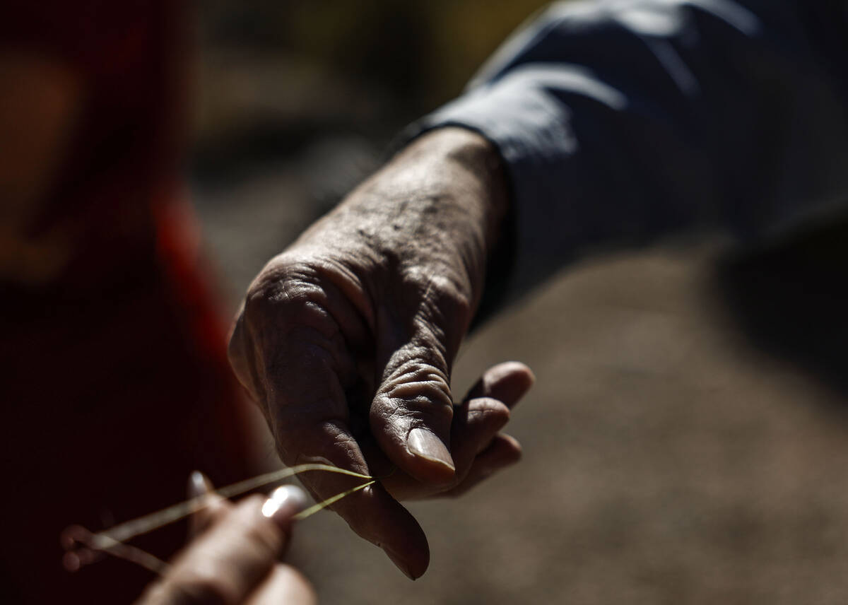 Adventure tour guide Mike Metzger points out plant life unique to Red Rock Canyon National Cons ...