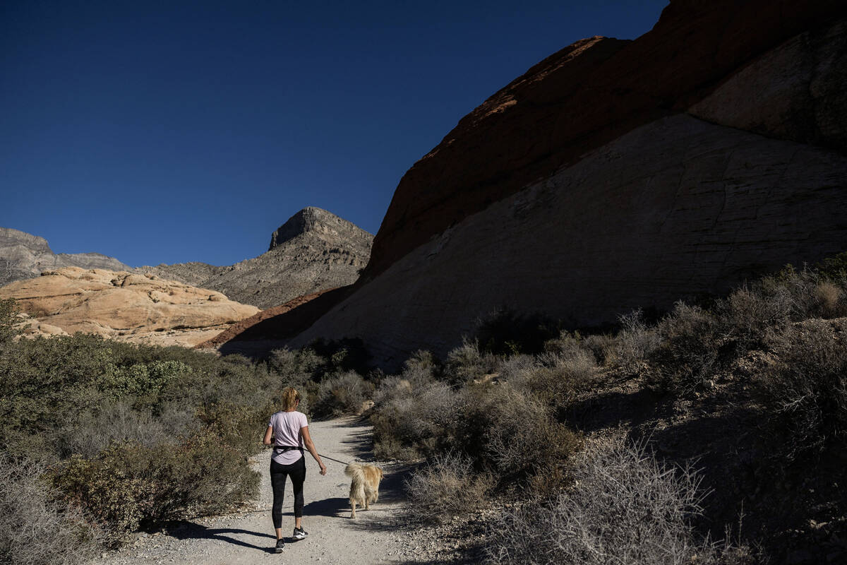 Hikers pass by clients taking a Pink Jeep Tour at Red Rock Canyon National Conservation Area Tu ...