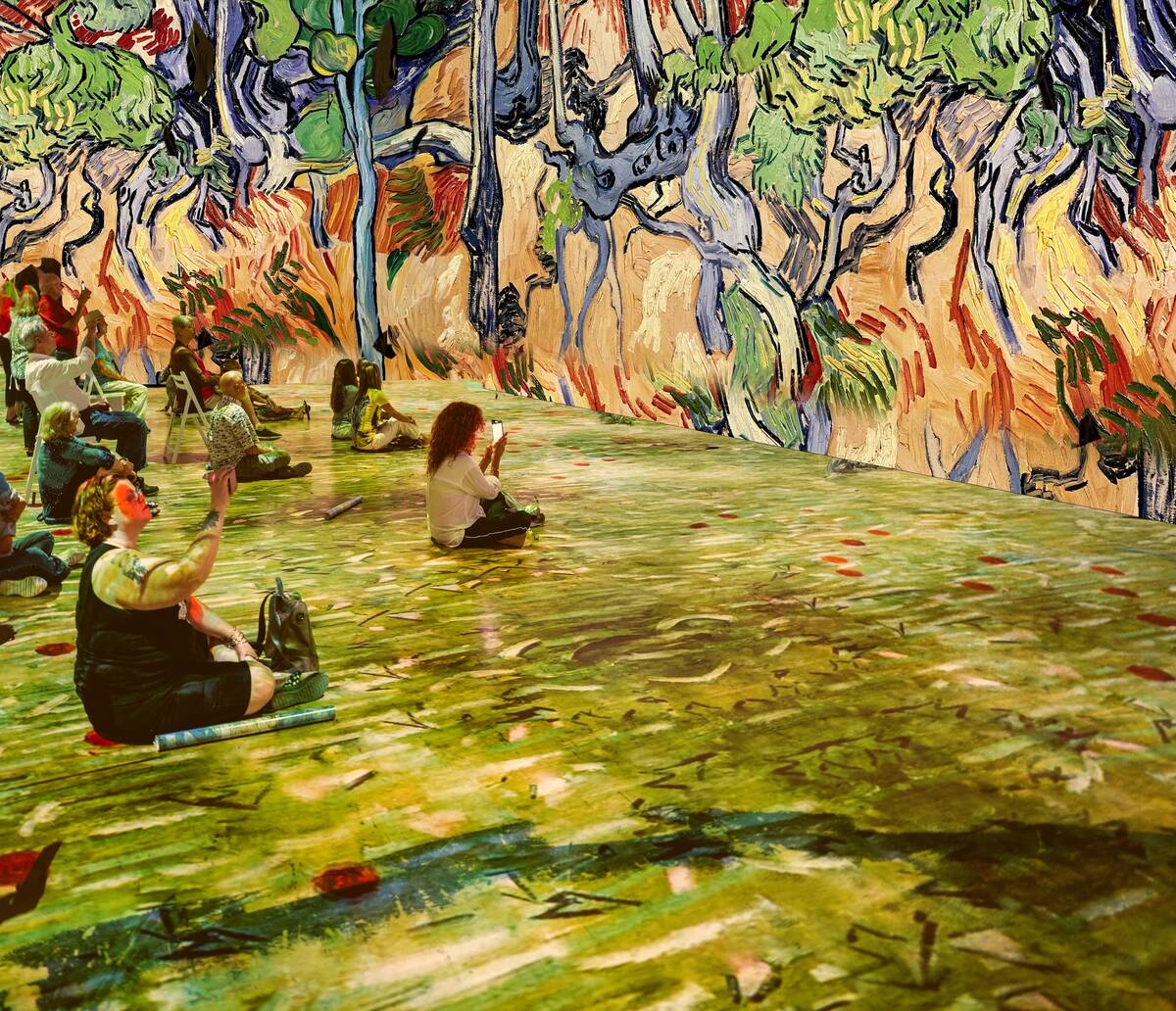"The Olive Trees are shown at “The New Immersive Van Gogh: The Next Chapter,” at The Shops ...