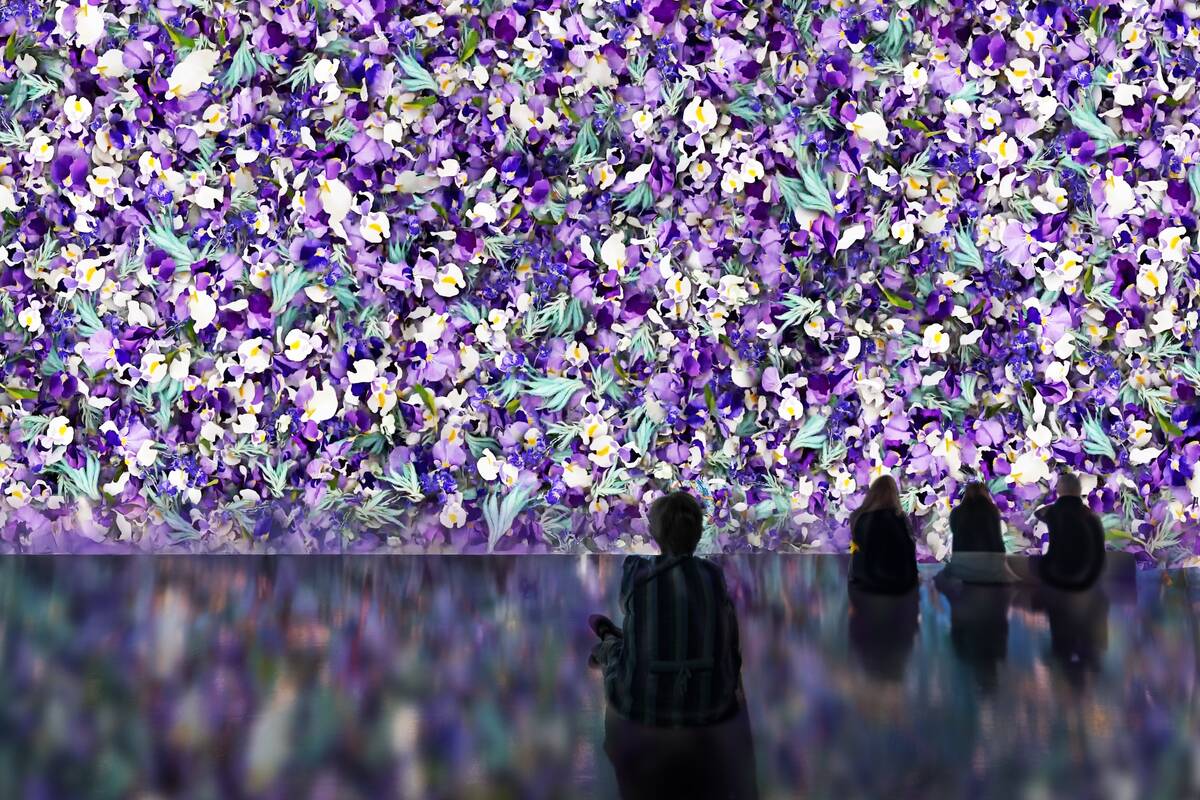"Irises" are shown in a scene from “The New Immersive Van Gogh: The Next Chapter,” at The S ...