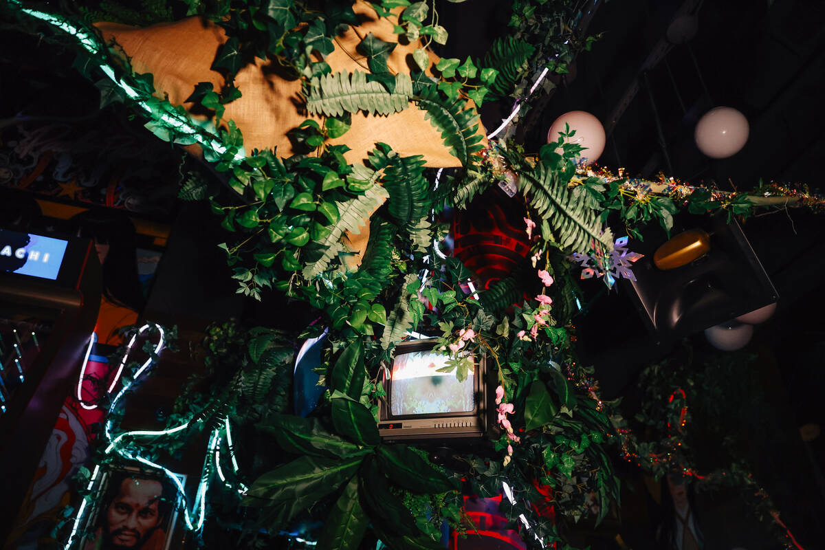 Plants hang from the ceiling at Pachi Pachi in downtown Las Vegas Saturday, Jan. 24, 2026, in L ...