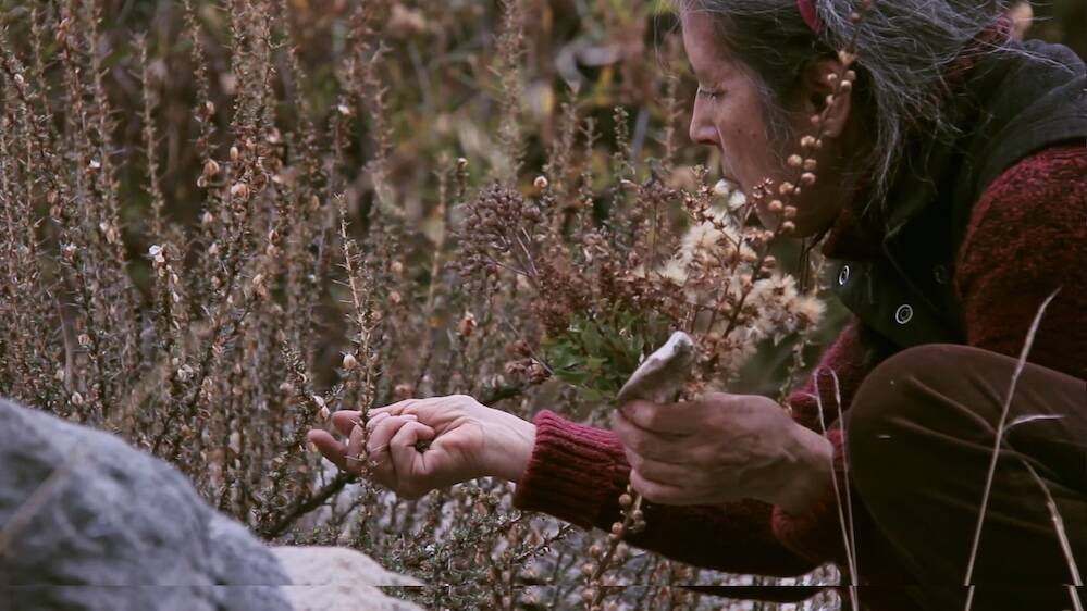 Cecilia Vicuña, "Semiya (Seed Song)," 2015, color, sound, HD video, 07:43. (Electronic Arts In ...