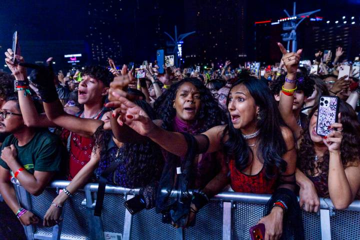 Fans sing along with Panic! At The Disco performing on the 7-Eleven stage during the When We We ...