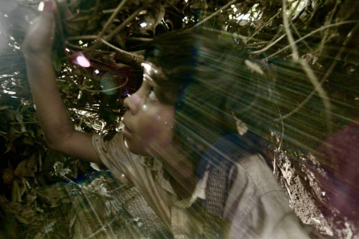 Marlon Pérez in a scene from "Fireflies at El Mozote." (Premiere Entertainment)