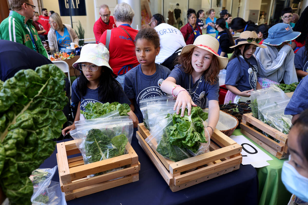 Goynes STEM Academy students, from left, Johanna Delapena, 9, Alana Williams, 10, and Zinnia We ...