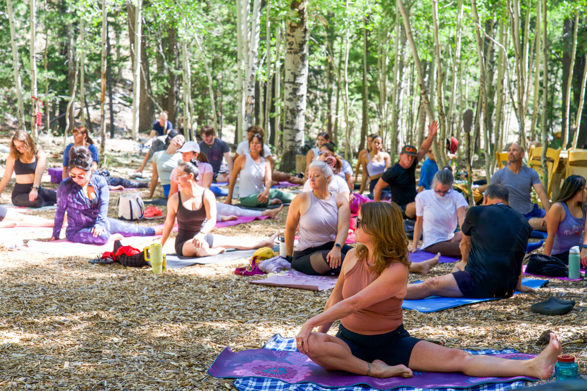 An outdoor yoga class is held in Lee Canyon through the summer. (Lee Canyon)