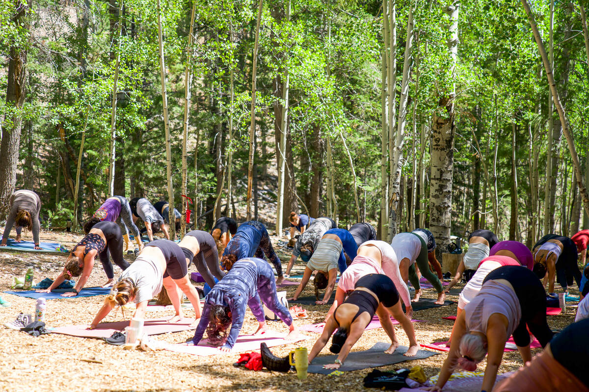 An outdoor yoga class is held in Lee Canyon through the summer. (Lee Canyon)