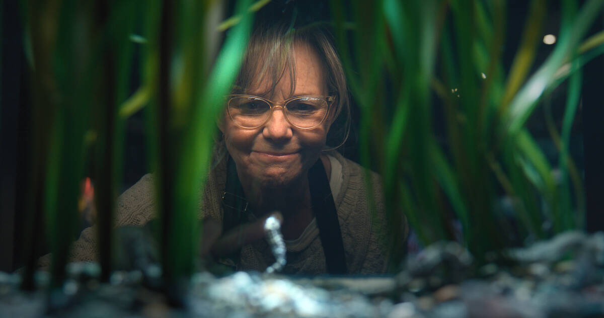 REMARKABLY BRIGHT CREATURES. Sally Field as Tova in Remarkably Bright Creatures. Cr. Courtesy o ...