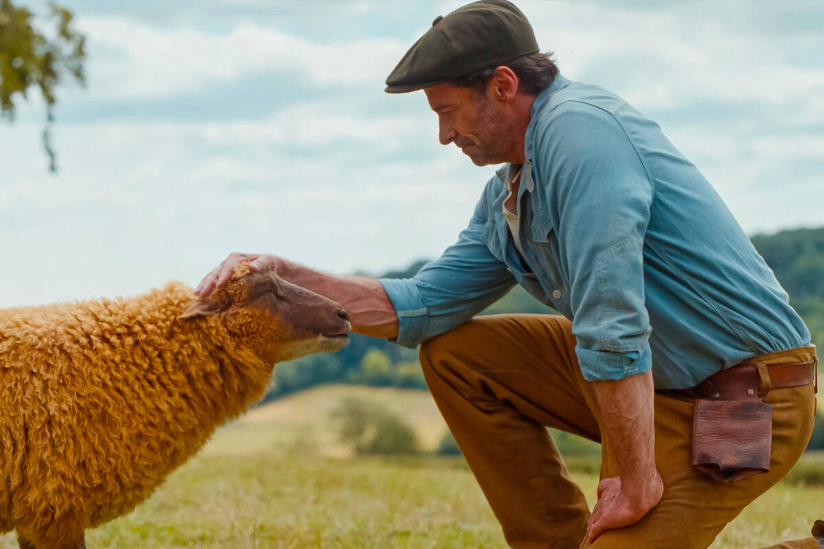This image released by Amazon MGM Studios shows sheep character Lily, voiced Julia-Louis Dreyfu ...