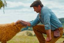 This image released by Amazon MGM Studios shows sheep character Lily, voiced Julia-Louis Dreyfu ...