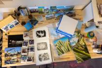 A variety of in-progress works are seen on artist Alina Lindquist's work station at her campus ...