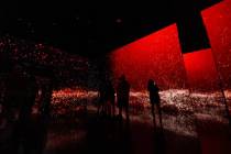Shown is Arte Museum’s BTS “The City” takeover ends. The immersive museum at 63 CityCente ...