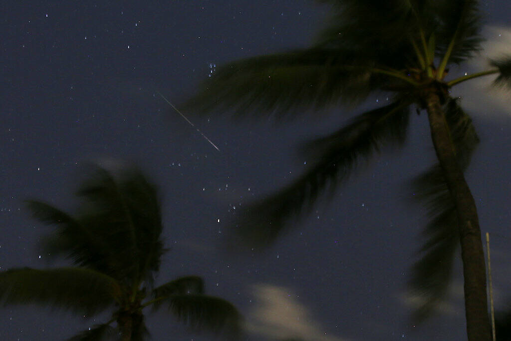 In this 10-second exposure a meteor streaks across the sky near palm trees, early Monday during ...