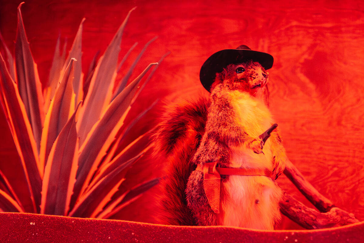 A squirrel wears cowboy hat at Dustland Saturday, June 20, 2026, in Las Vegas. (Madeline Carter ...