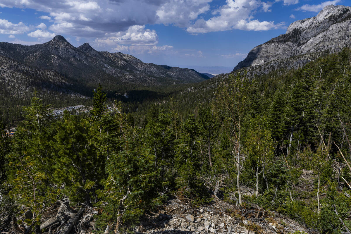 A view of the Spring Mountains is seen from the top of the Bristlecone Skyway scenic chairlift ...
