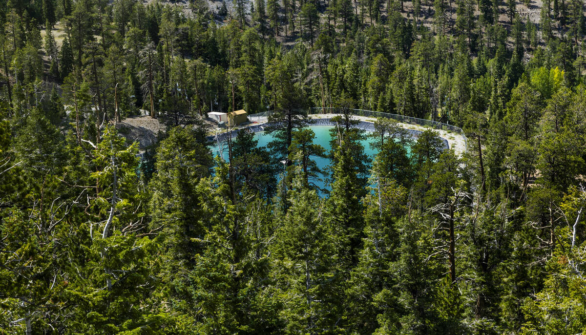 A reservoir is tucked amongst the pines as seen from the Bristlecone Skyway scenic chairlift du ...