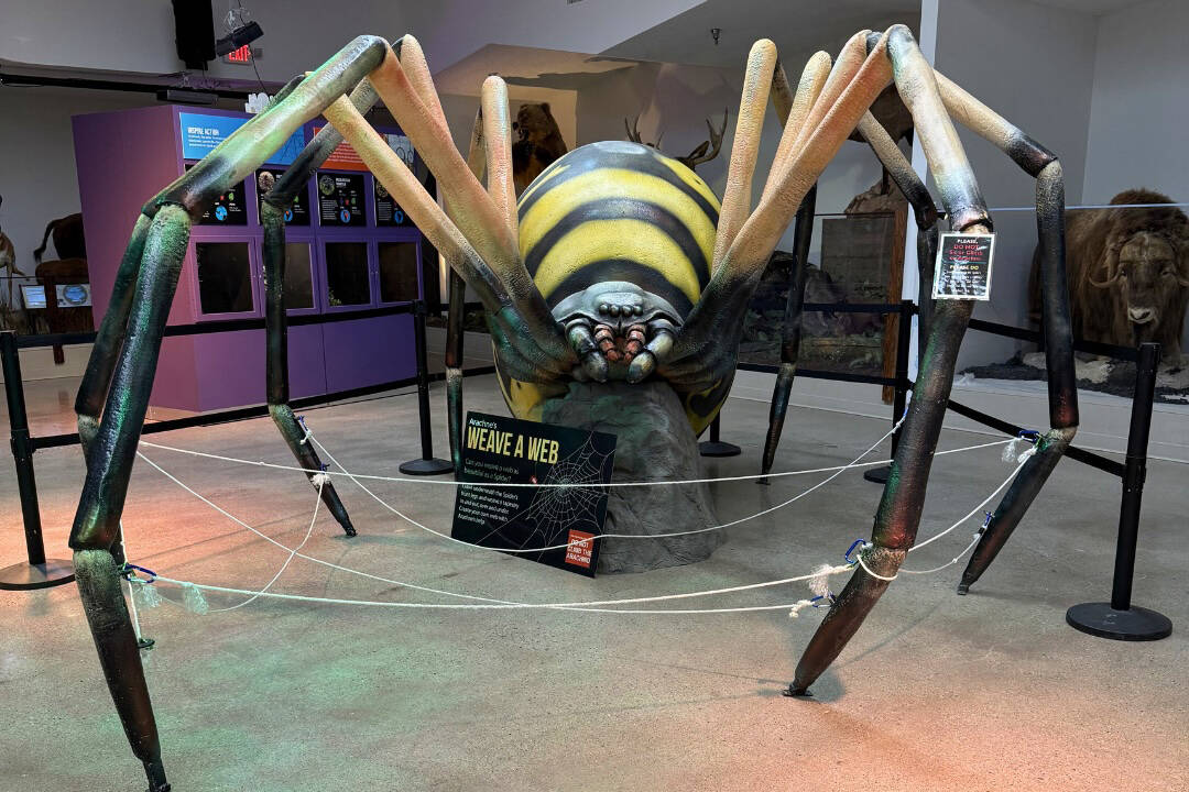 "The Art & Science of Arachnids" (Las Vegas Science & Natural History Museum)