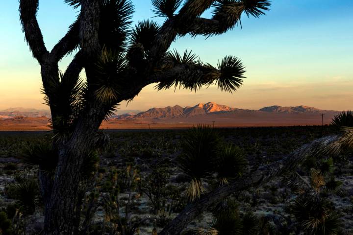The last of the day's sun catches the peak of Spirit Mountain within the Avi Kwa Ame proposed N ...