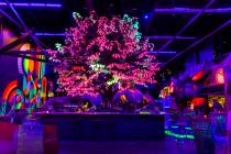 The Oddwood digital maple tree is on display across from Meow Wolf inside Zone 1 during an art ...