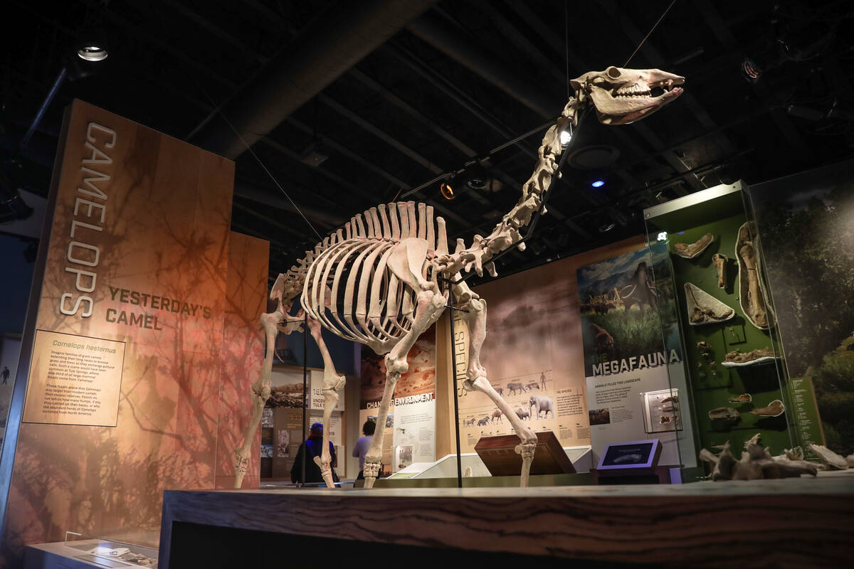 The visitor center at Ice Age Fossils State Park in North Las Vegas, Tuesday, Jan. 16, 2024. (n ...