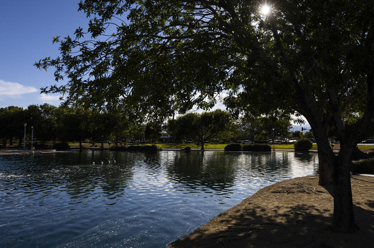 A pond is seen at Aliante Nature Discovery Park on Sunday, Sept. 20, 2026, in North Las Vegas. ...