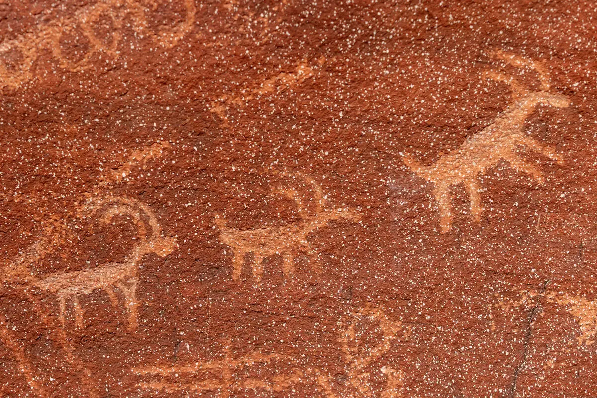 Petroglyphs at Atlatl Rock depict ancient bighorn sheep on Monday, June 29, 2026, in Valley of ...