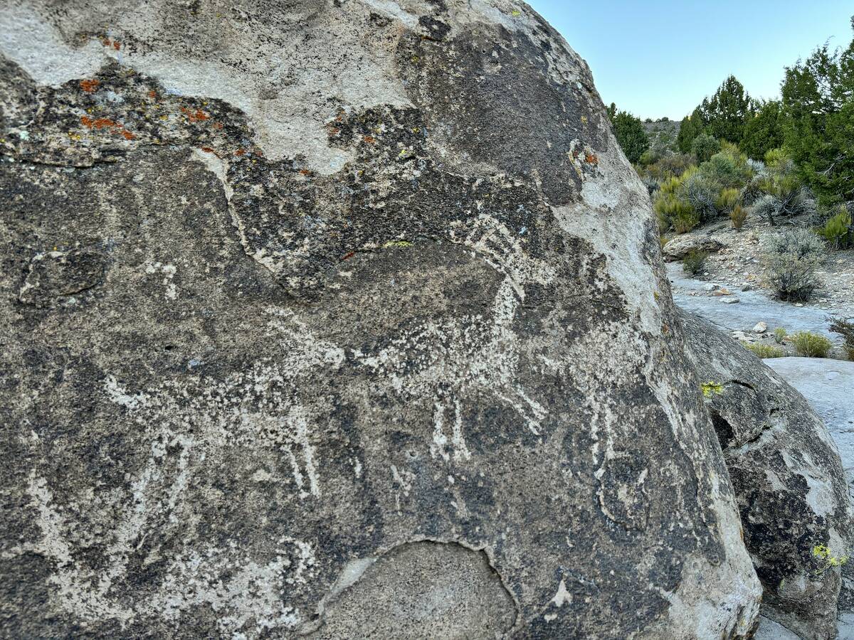 Mount Irish is home to one of the largest concentrations of petroglyphs in Nevada, seen in Basi ...