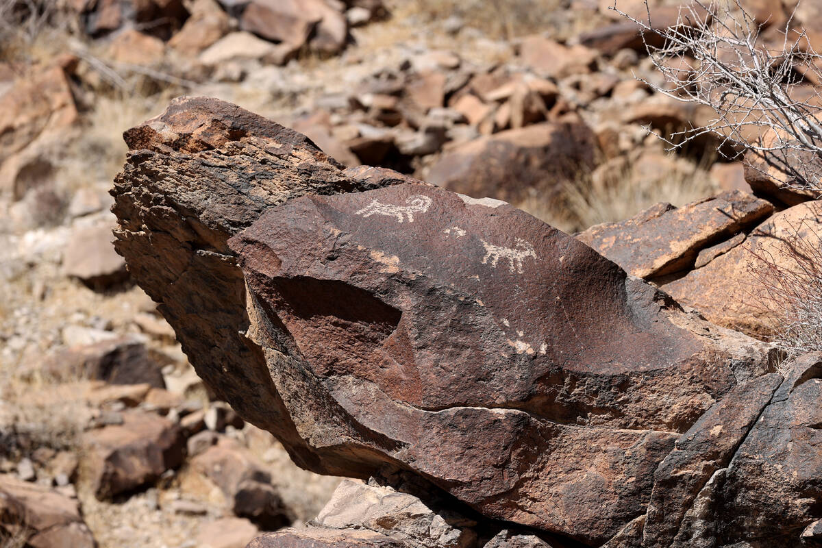 Rock art on the Petroglyph Trail in Sloan Canyon National Conservation Area Friday, Feb. 26, 20 ...