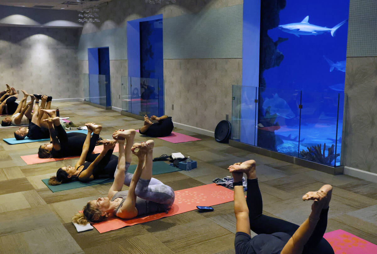People practice yoga during the first Yoga With Sharks program at Shark Reef on Saturday, Sept. ...