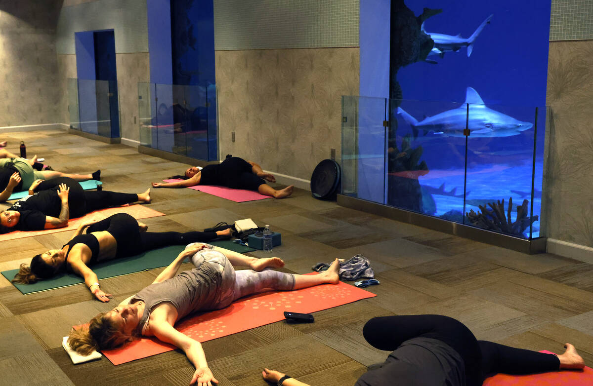 People practice yoga during the first Yoga With Sharks program at Shark Reef on Saturday, Sept. ...