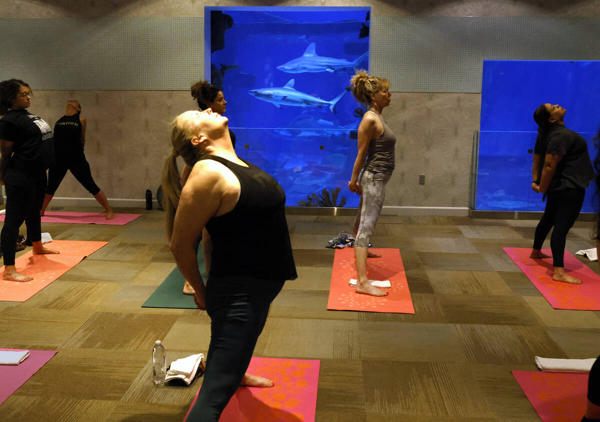 People practice yoga during the first Yoga With Sharks program at Shark Reef on Saturday, Sept. ...