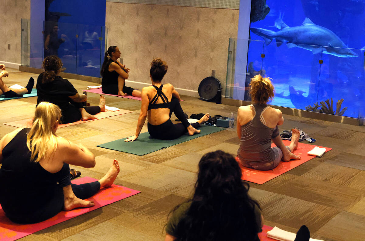 People practice yoga during the first Yoga With Sharks program at Shark Reef on Saturday, Sept. ...