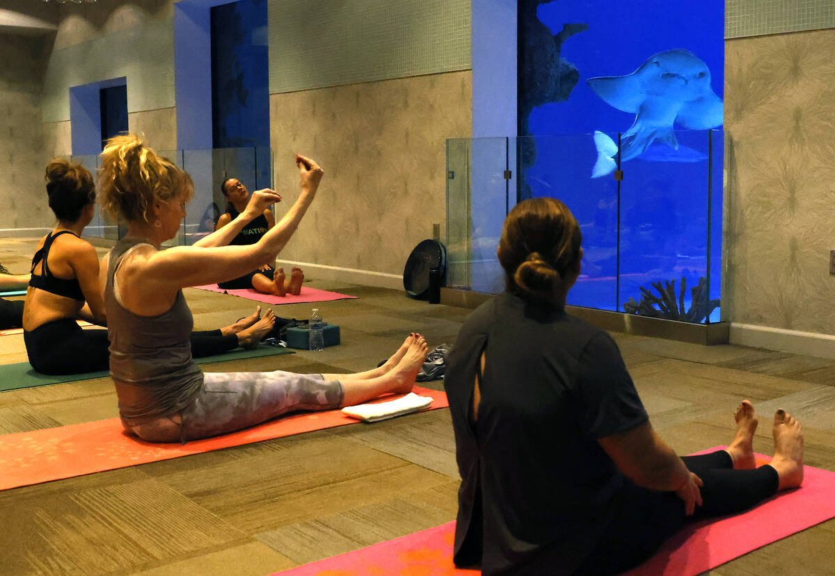 People practice yoga during the first Yoga With Sharks program at Shark Reef on Saturday, Sept. ...