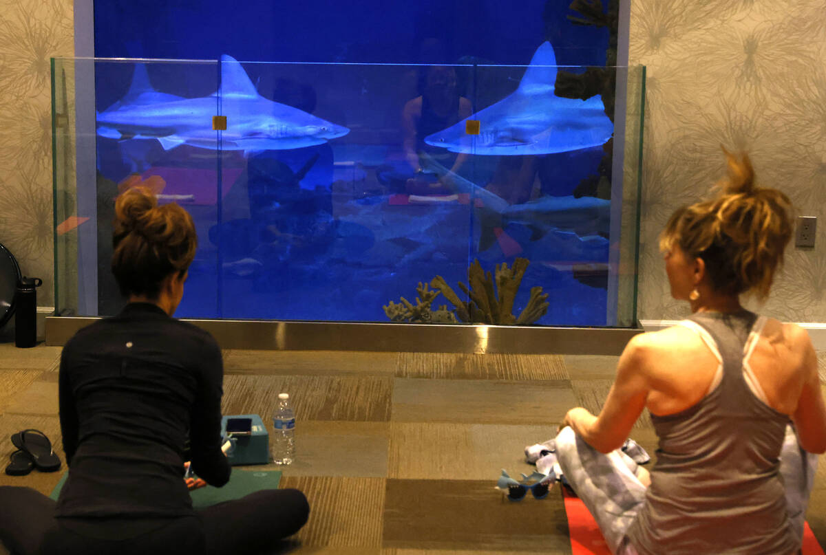 People practice yoga during the first Yoga With Sharks program at Shark Reef on Saturday, Sept. ...